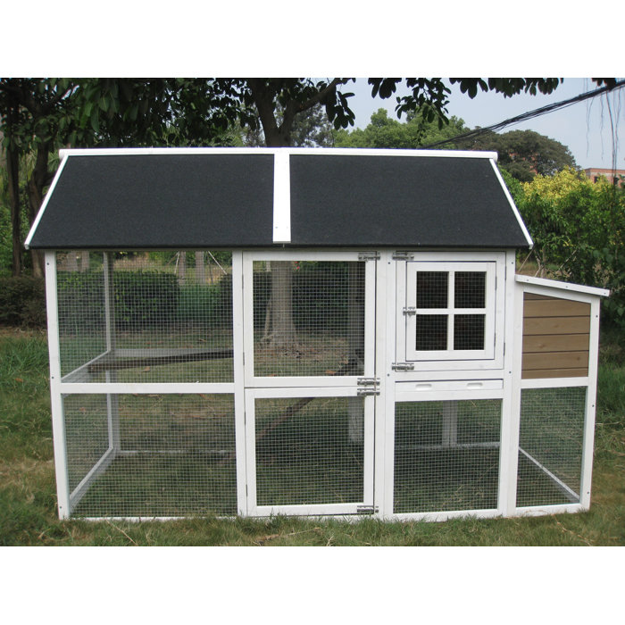 Coops & Feathers 15.8 Square Feet Chicken Coop with Chicken Run